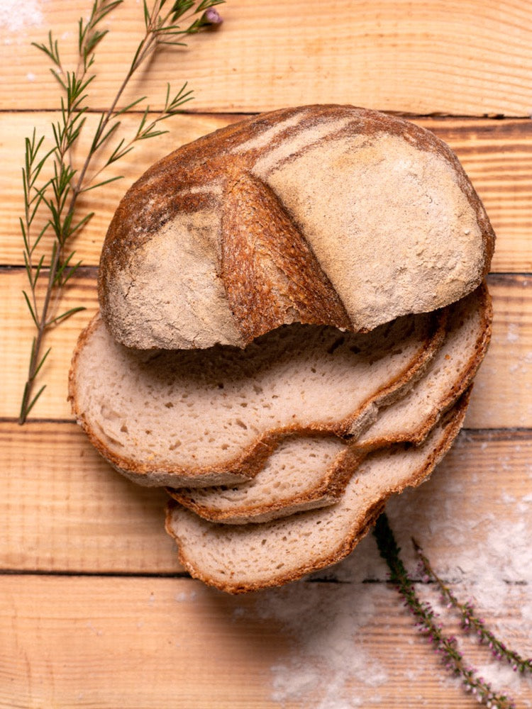 Bio Buchweizenbrot - glutenfreies Sauerteigbrot – Backbrüder Bio Buchweizenbrot - glutenfreies Sauerteigbrot – Backbrüder